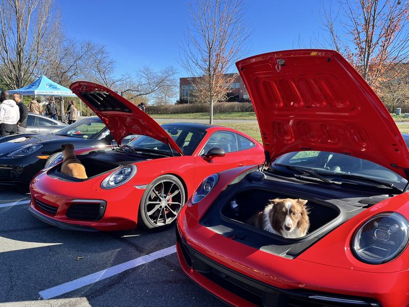 Two 911s with their front hoods raised at Porsches & Pups, a dog sitting in each. Photo: Mario Bailey